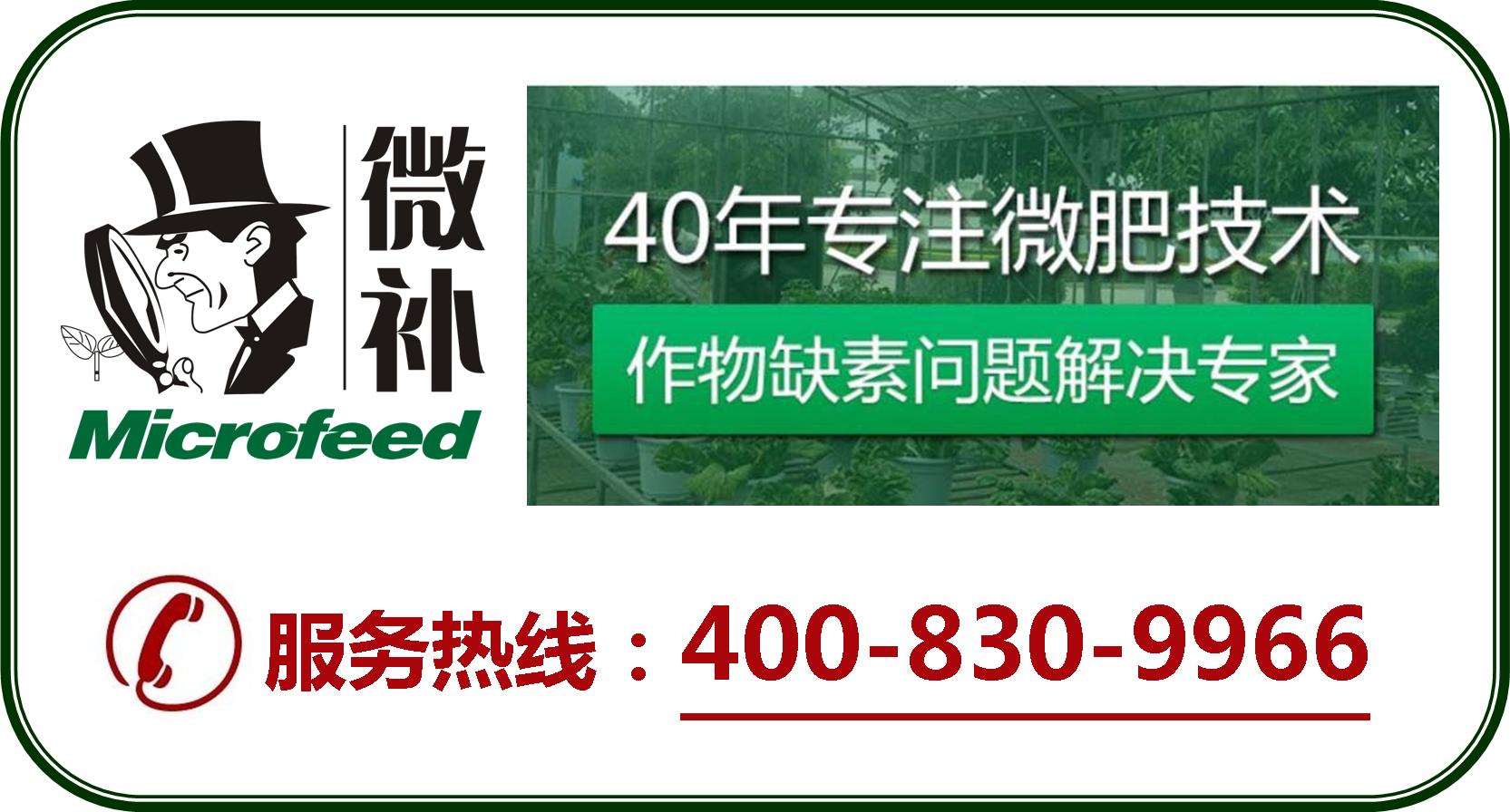 余教授德國鄉村行：摩澤爾河的葡萄魅力在哪兒？